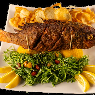 Red Snapper